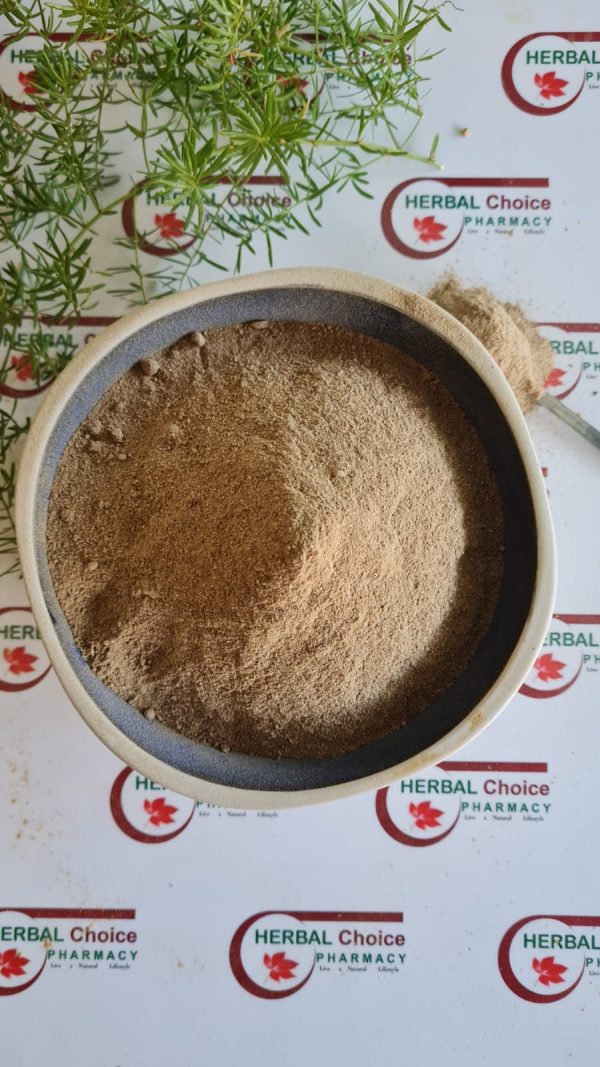 Aloe Vera Powder: Remedy for Skin and Hair