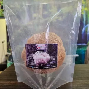 Whole Dried Lion’s Mane Mushroom – Nature’s Brain Booster