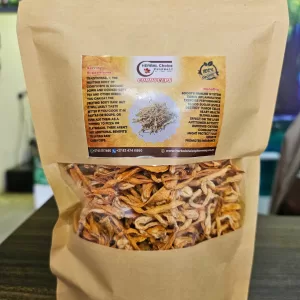 Cordyceps mushroom