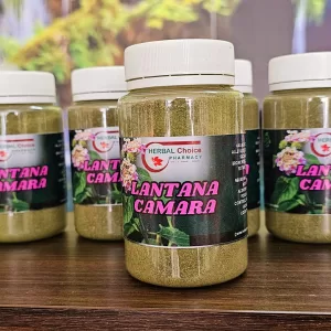 Lantana Camara – Nature’s Healing Power in a Herb